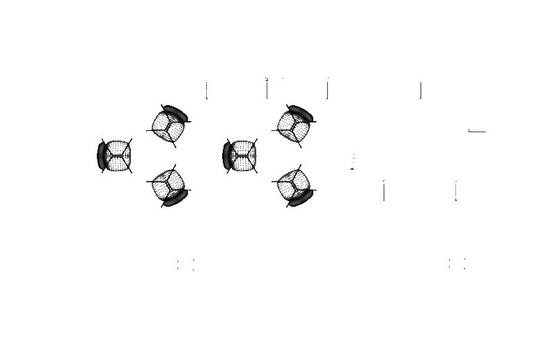 10x20 booth design 10x20 booth design
